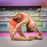0739_01536