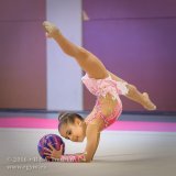 0739_02399