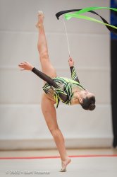 1523_05391