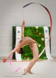 1523_06559
