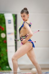 1523_06860