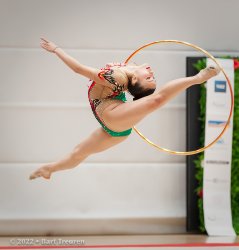 1523_09501