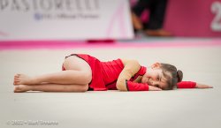 1538_04520