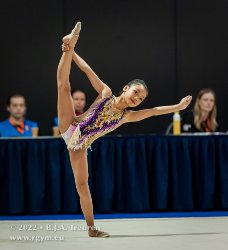 1543_03355