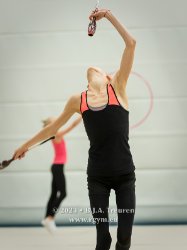 1793_00528