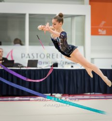 1796_06466