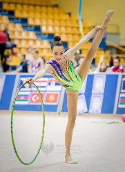 1829_02520