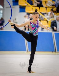 1829_03233
