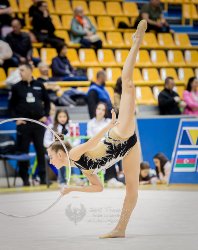 1829_03880