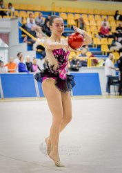 1829_04455